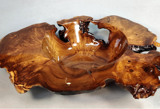 Handmade Wooden Bowl Russian Olive Burl Wood